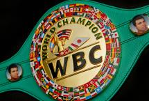 ВСЕМИРНЫЙ БОКСЕРСКИЙ СОВЕТ (WBC) НИКОГДА НЕ БУДЕТ ПОДДЕРЖИВАТЬ ПРОФЕССИОНАЛОВ