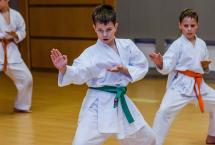 БРЕСТСКИЙ ГОРОДСКОЙ ТУРНИР ПО КАРАТЭ WKF