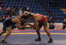 РЕЗУЛЬТАТЫ ЧЕМПИОНАТА РЕСПУБЛИКИ БЕЛАРУСЬ ПО ВОЛЬНОЙ БОРЬБЕ