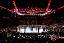 КОРЕЙСКАЯ ПОЛИЦИЯ ПРОВОДИТ РАССЛЕДОВАНИЕ О ДОГОВОРНОМ БОЕ В UFC